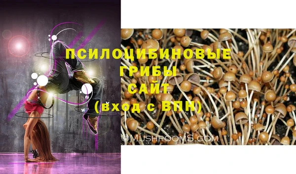 гашик Волоколамск