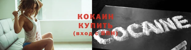 гашик Волоколамск
