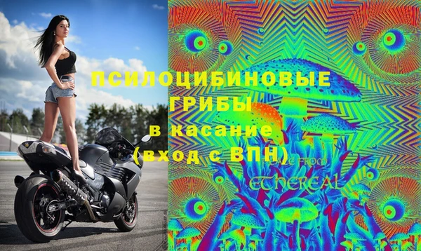 гашик Волоколамск