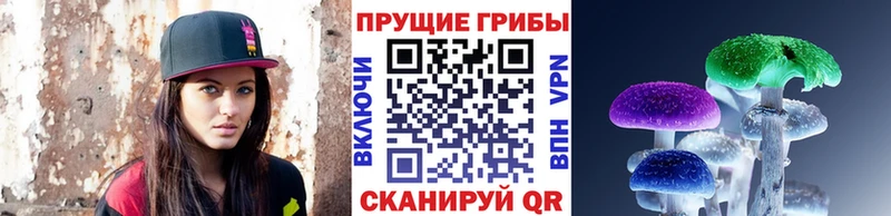 это как зайти  Новочеркасск  Псилоцибиновые грибы мицелий 